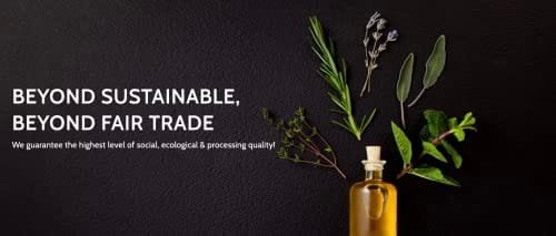 Optimally Organic ESSIAC Tea - Tea Bag Cut - 8 Herb Prized Rene Caisse Recipe! - USDA Certified Organic - Burdock Root - Sheep Sorrel - Blessed Thistle - Kelp - Watercress - Red Clover - Slippery Elm - Turkey Rhubarb Root - Image 9