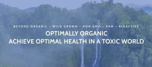 Optimally Organic ESSIAC Tea - Tea Bag Cut - 8 Herb Prized Rene Caisse Recipe! - USDA Certified Organic - Burdock Root - Sheep Sorrel - Blessed Thistle - Kelp - Watercress - Red Clover - Slippery Elm - Turkey Rhubarb Root - Image 8